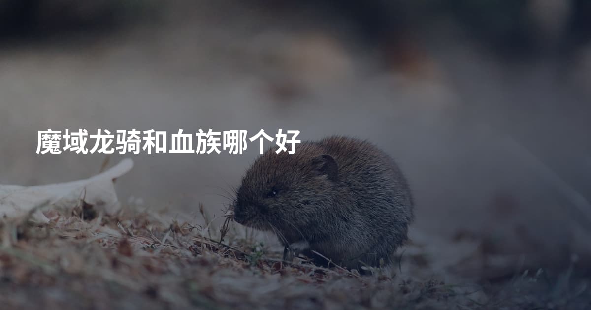 魔域龙骑和血族哪个好