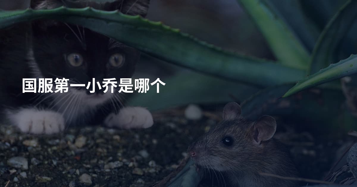 国服第一小乔是哪个