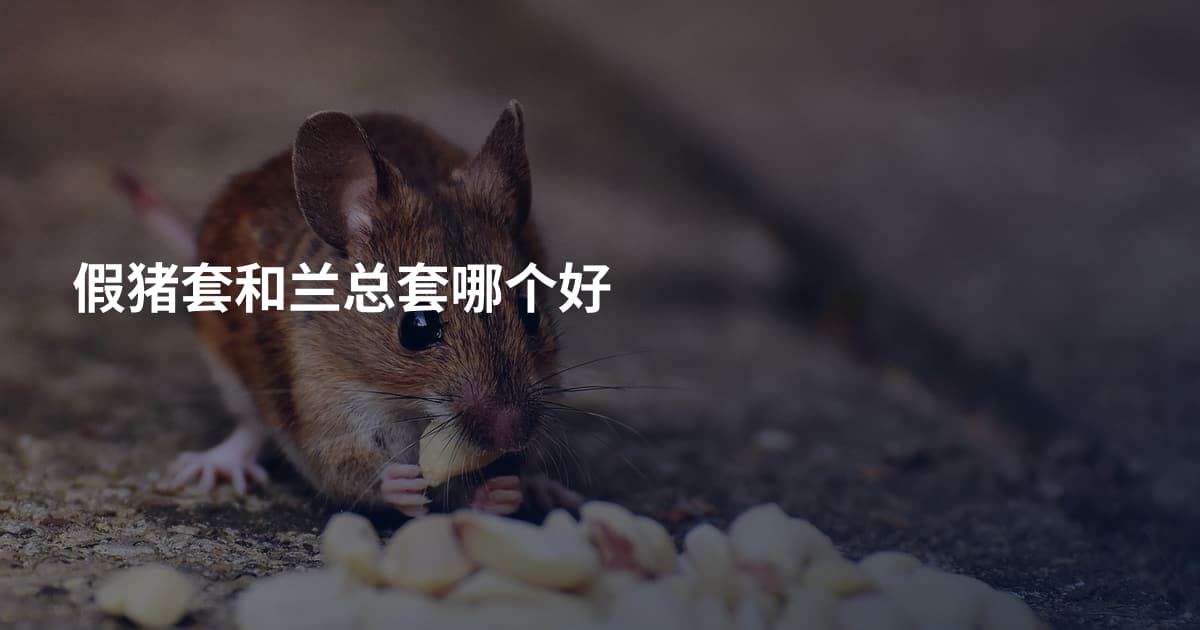 假猪套和兰总套哪个好