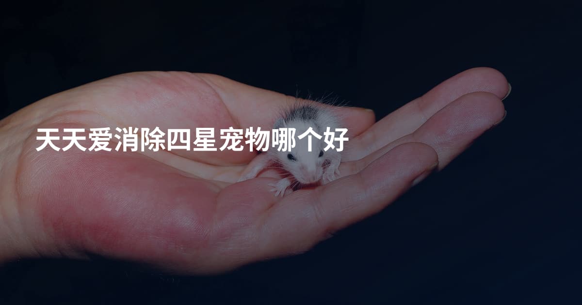 天天爱消除四星宠物哪个好