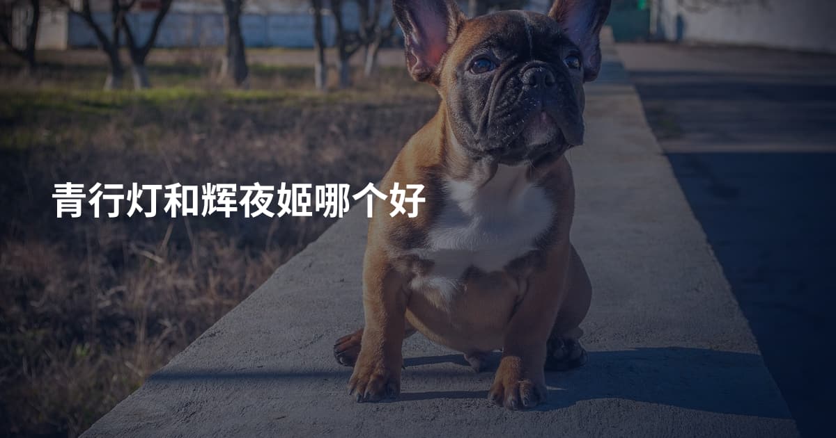 青行灯和辉夜姬哪个好