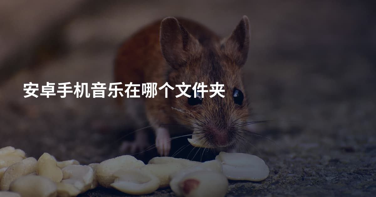 安卓手机音乐在哪个文件夹