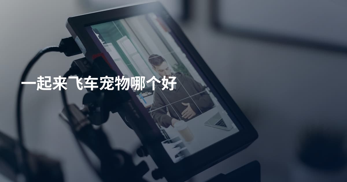 一起来飞车宠物哪个好