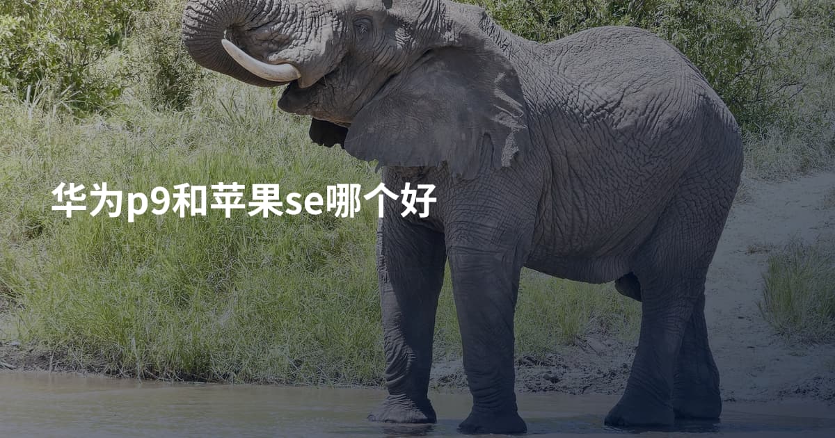 华为p9和苹果se哪个好