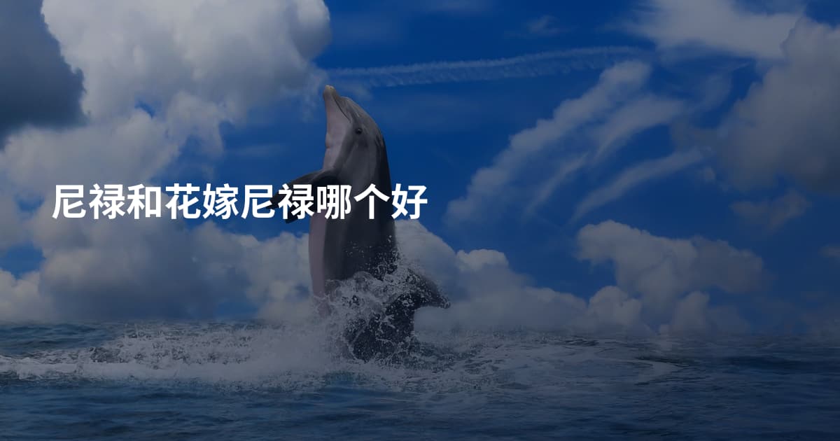 尼禄和花嫁尼禄哪个好