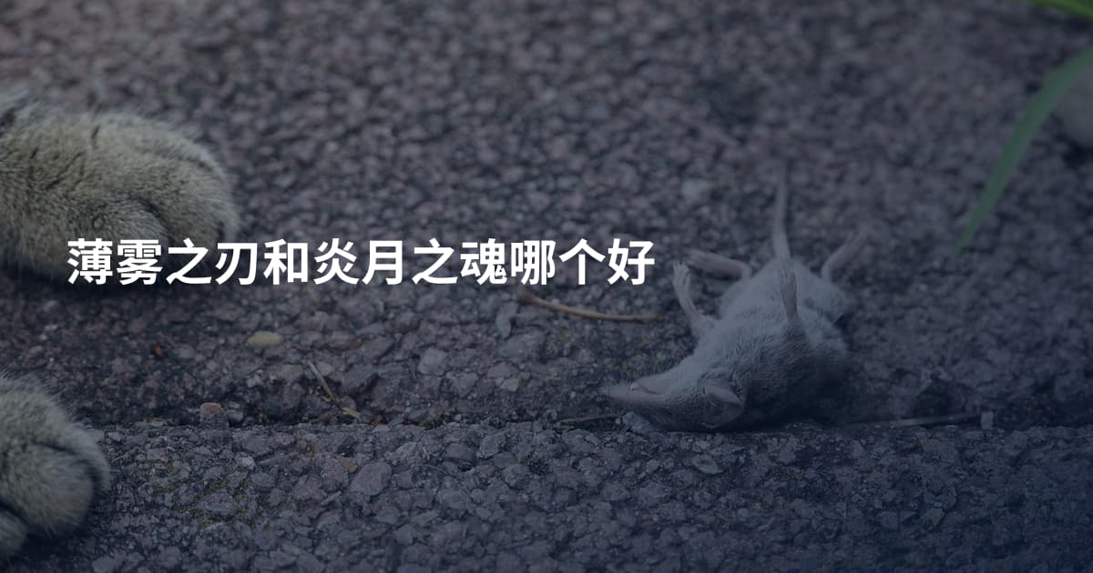 薄雾之刃和炎月之魂哪个好