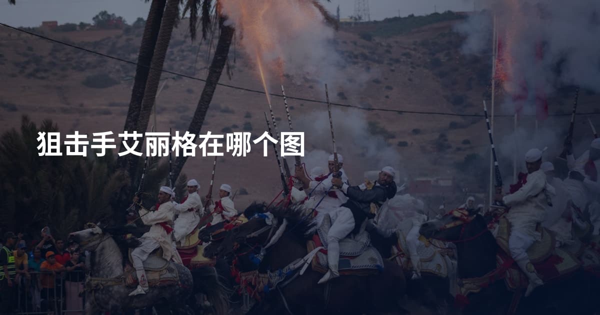 狙击手艾丽格在哪个图