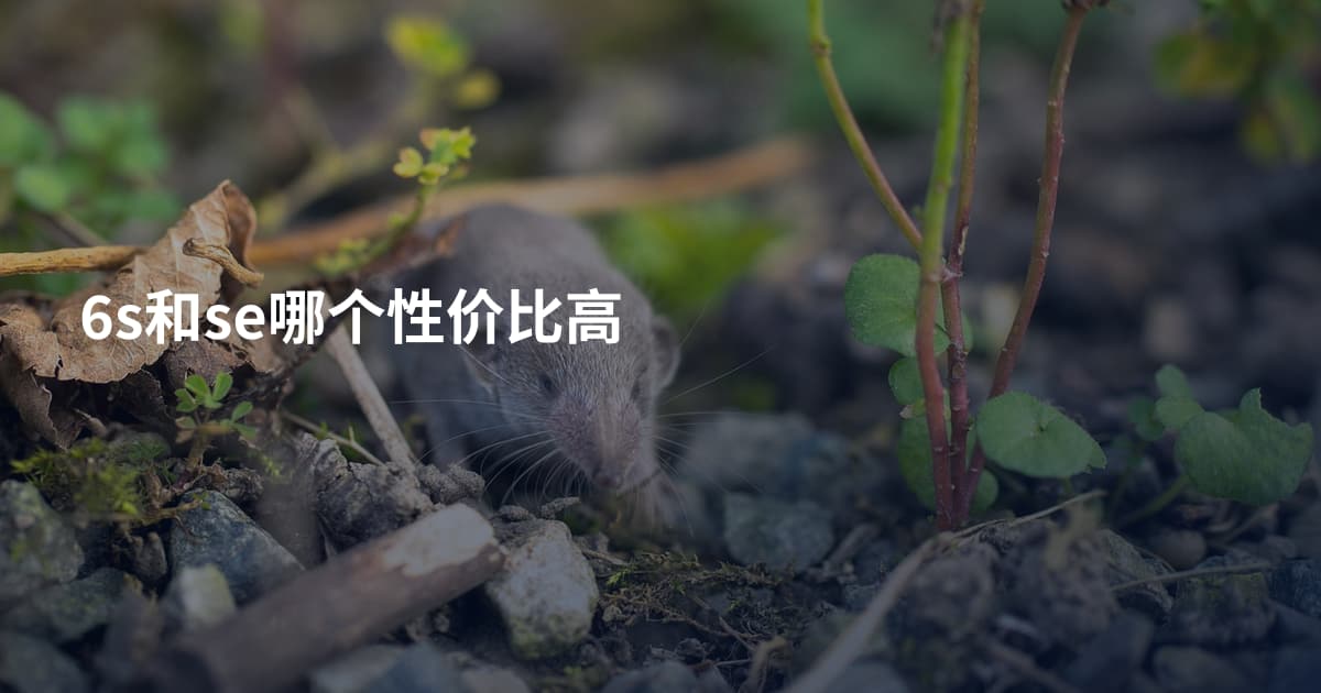 6s和se哪个性价比高