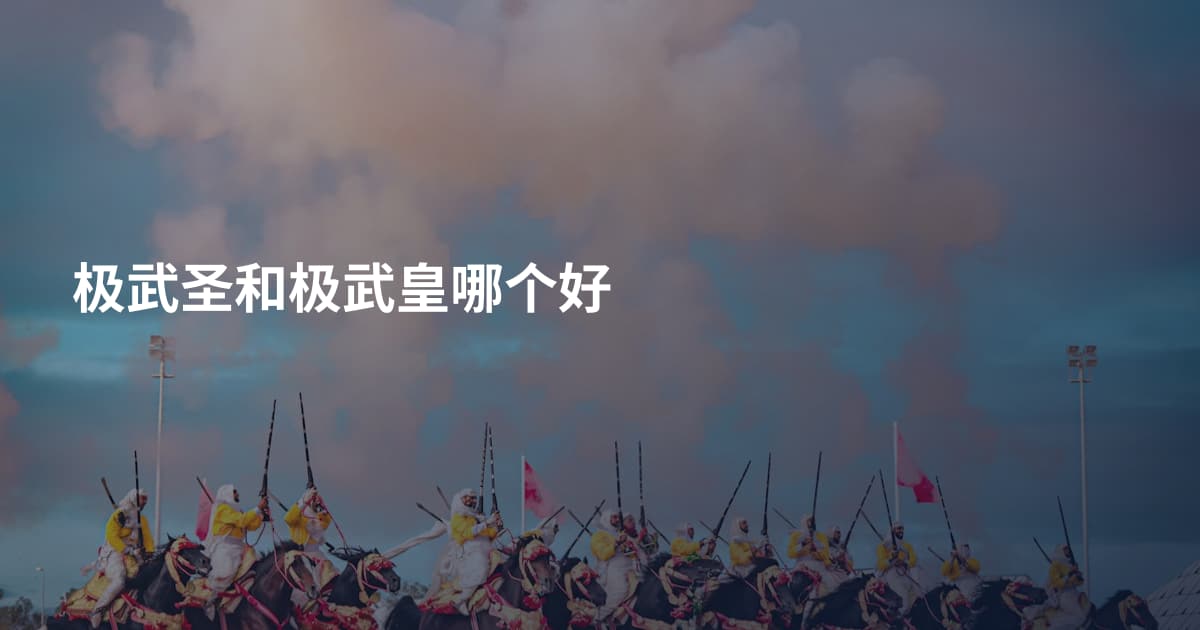 极武圣和极武皇哪个好