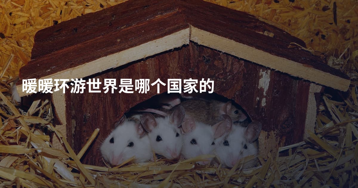暖暖环游世界是哪个国家的