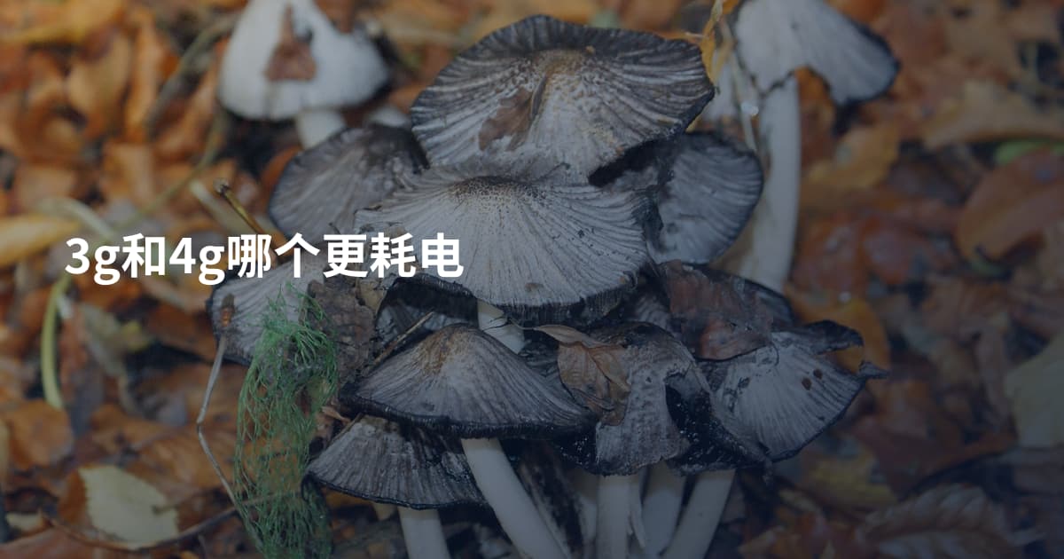 3g和4g哪个更耗电