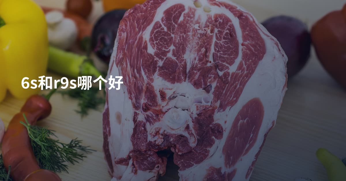 6s和r9s哪个好