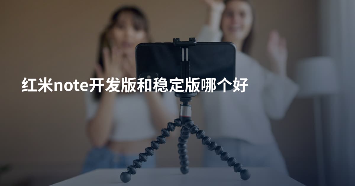 红米note开发版和稳定版哪个好