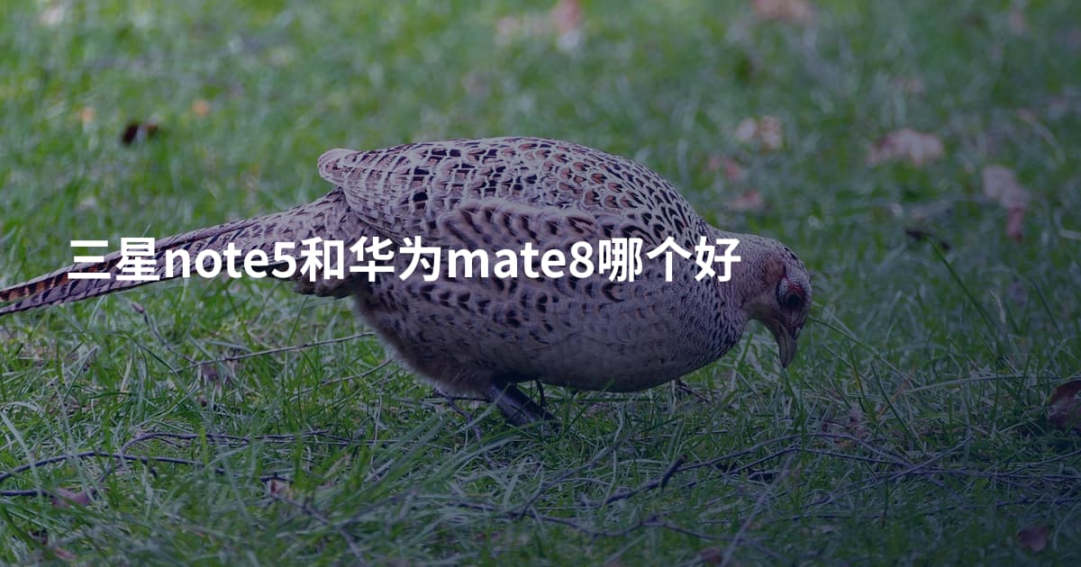 三星note5和华为mate8哪个好