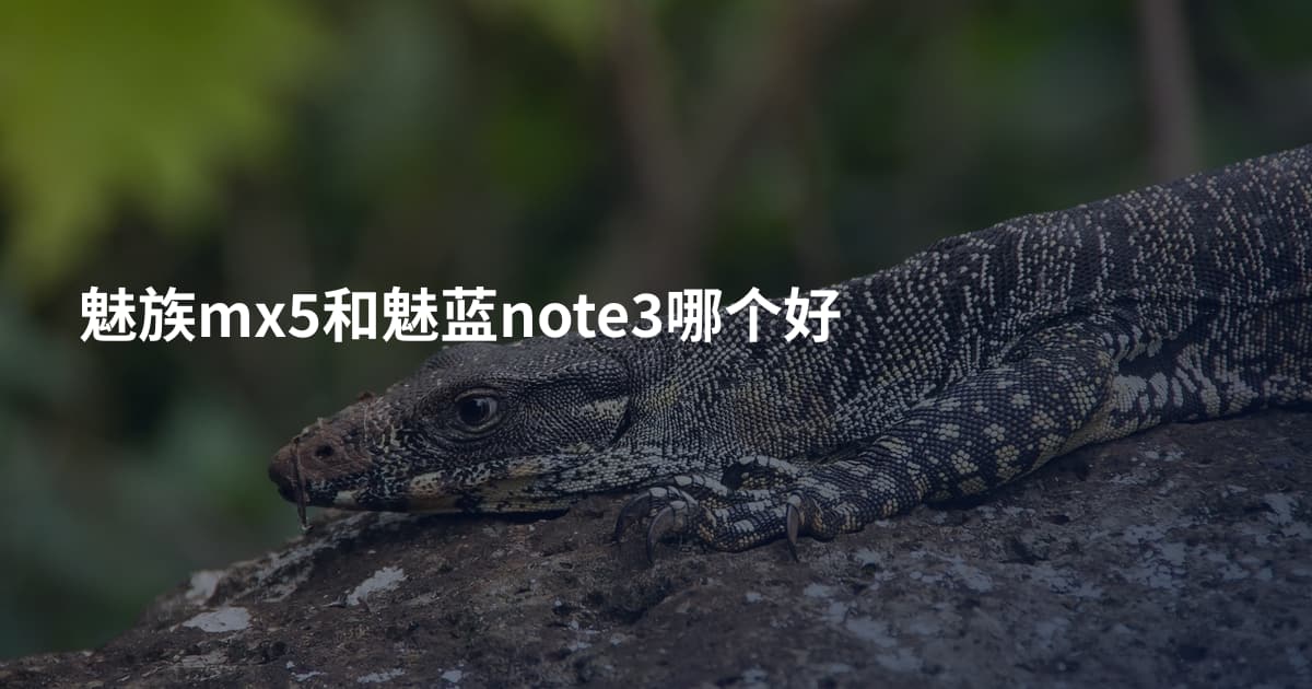魅族mx5和魅蓝note3哪个好