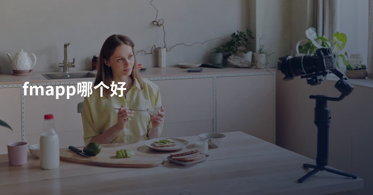 fmapp哪个好
