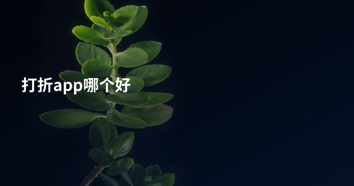 打折app哪个好