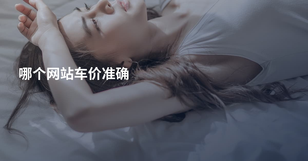 哪个网站车价准确