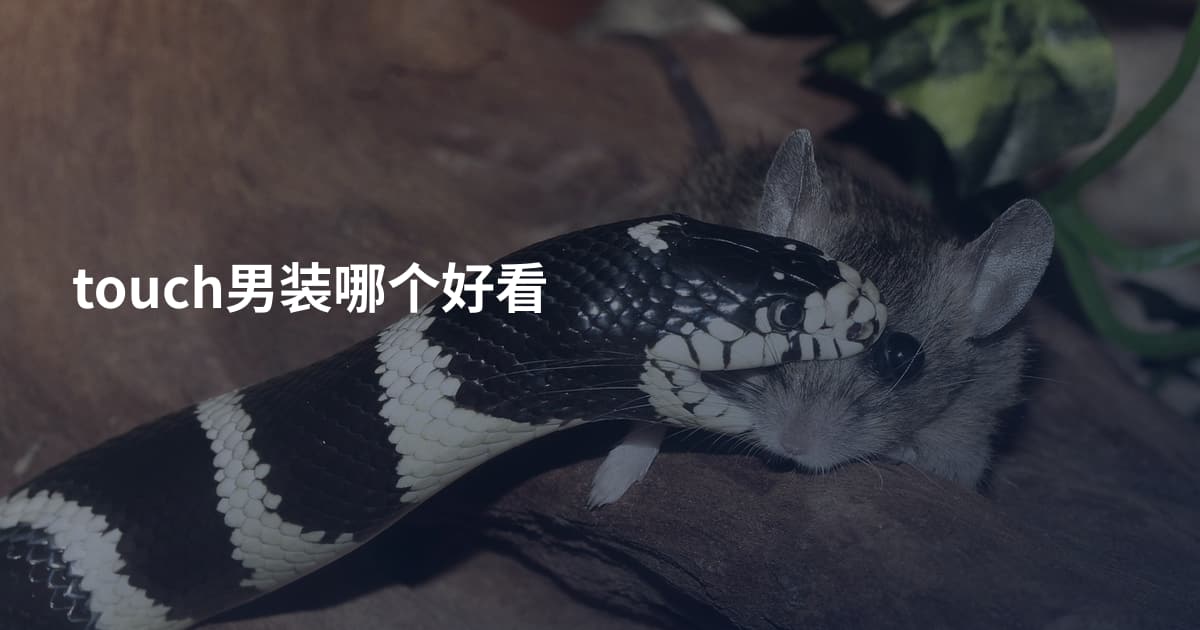 touch男装哪个好看