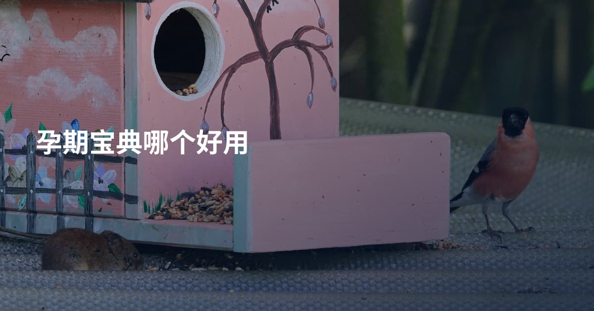 孕期宝典哪个好用