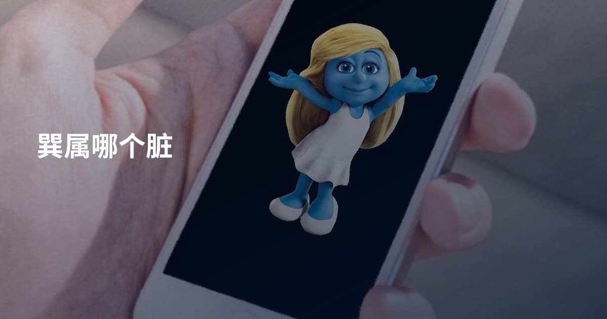 巽属哪个脏