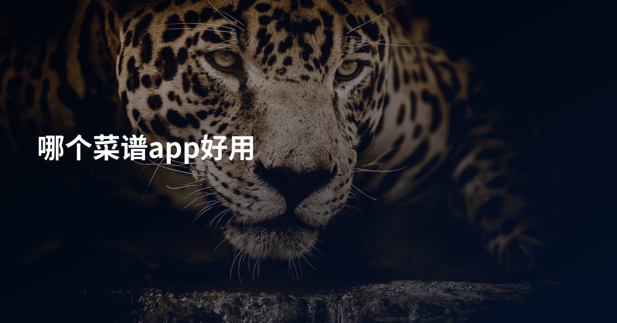 哪个菜谱app好用