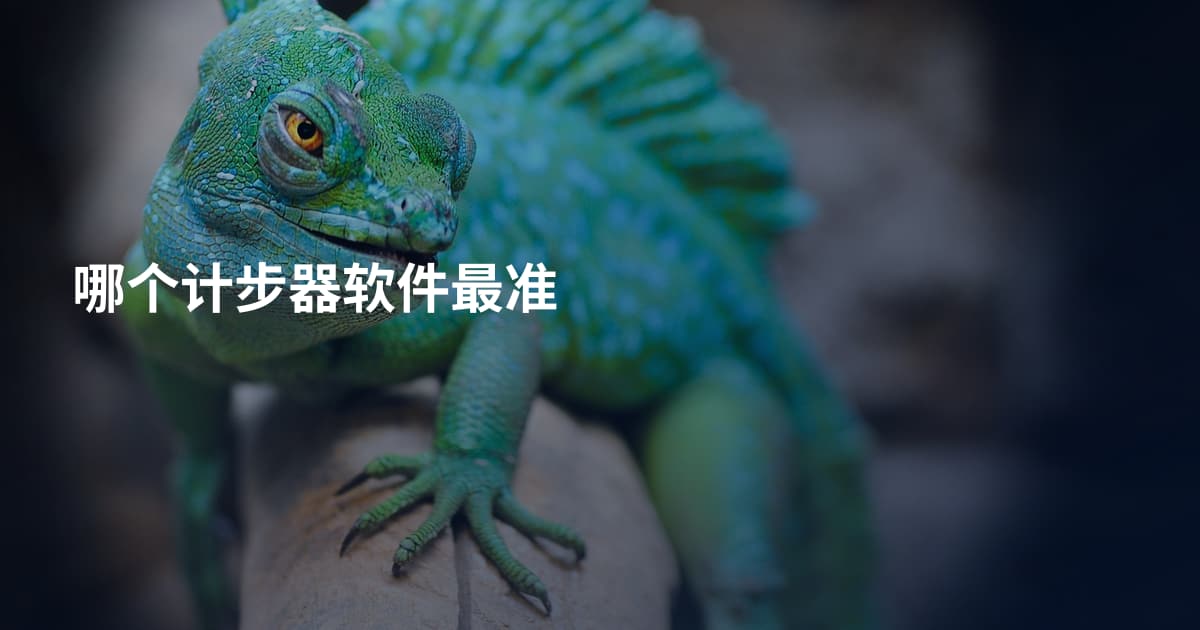 哪个计步器软件最准