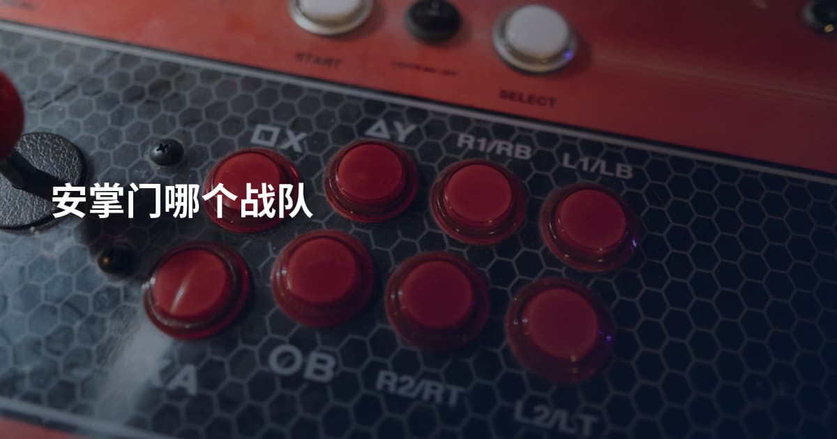 安掌门哪个战队