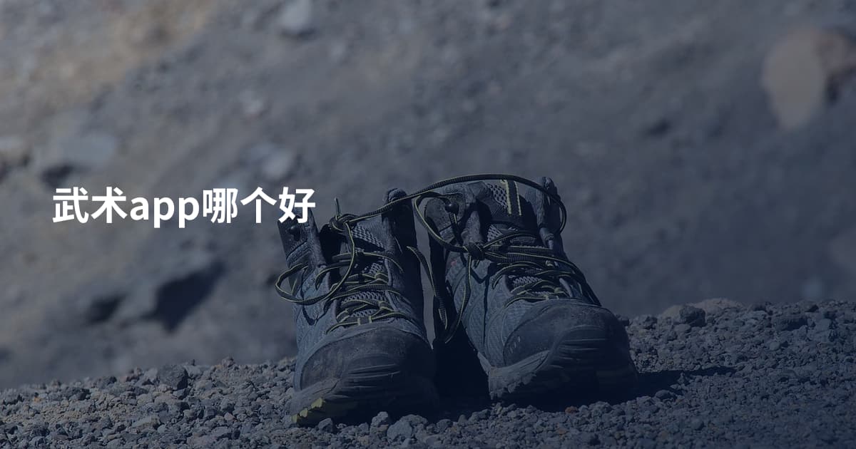 武术app哪个好