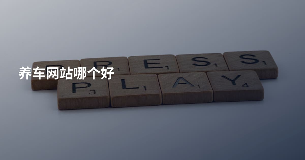 养车网站哪个好