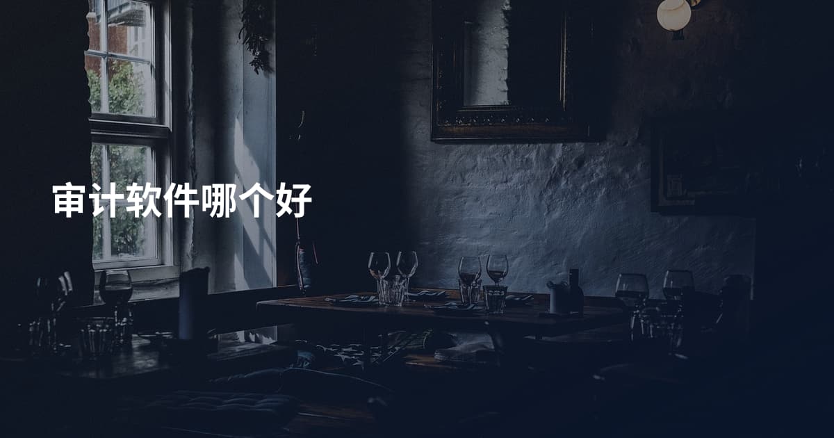 审计软件哪个好