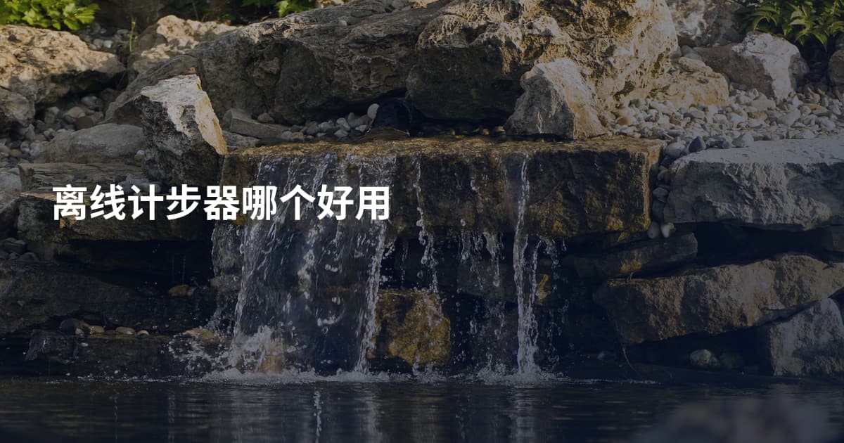 离线计步器哪个好用