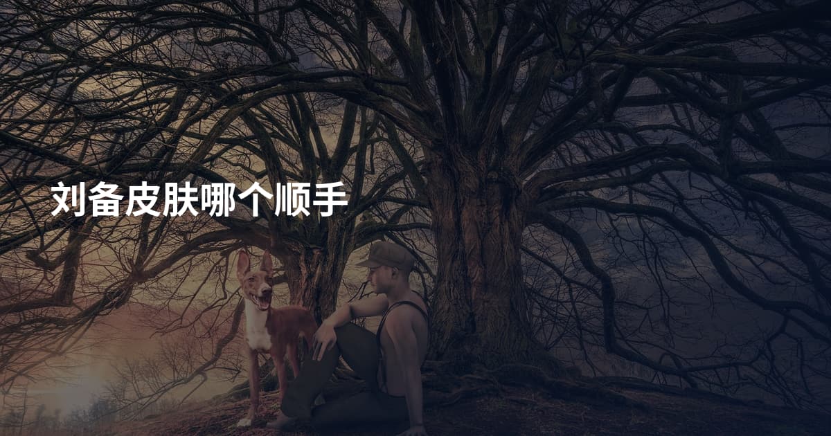 刘备皮肤哪个顺手