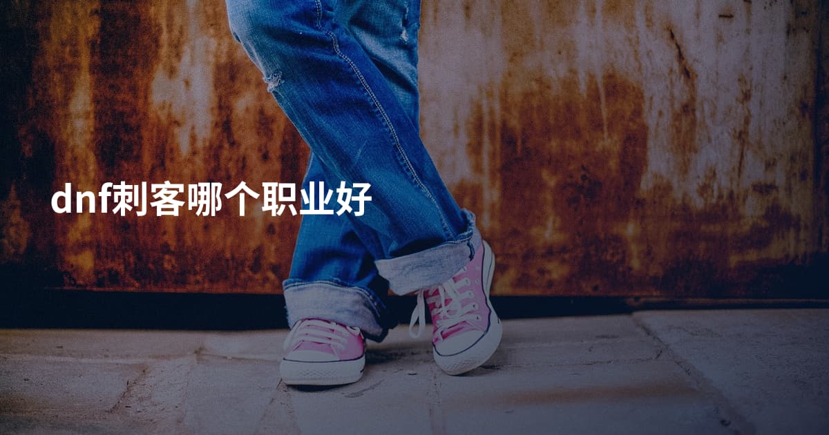 dnf刺客哪个职业好