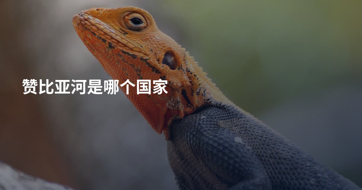 赞比亚河是哪个国家