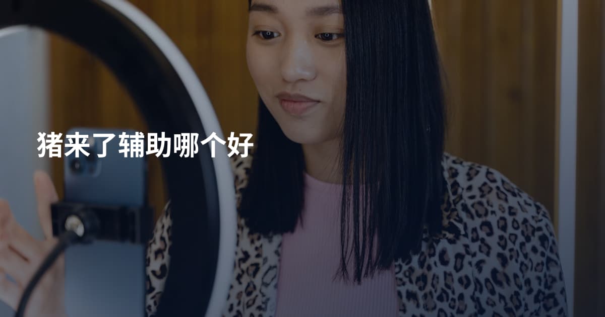猪来了辅助哪个好