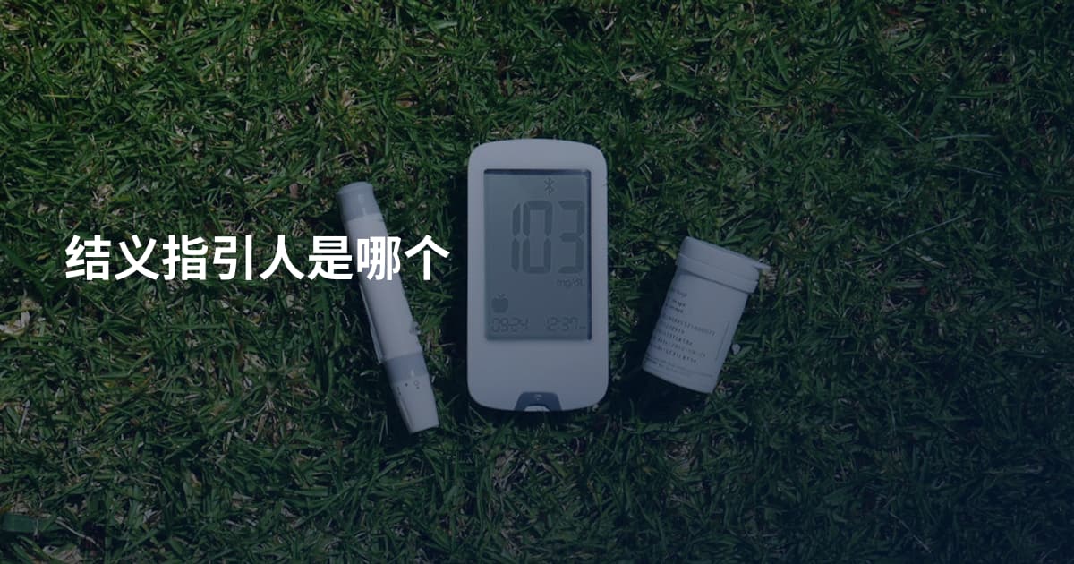 结义指引人是哪个