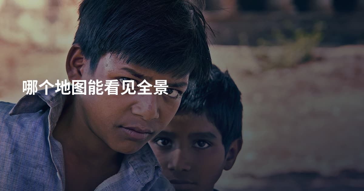 哪个地图能看见全景