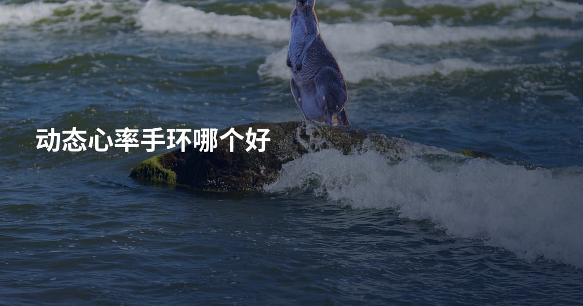 动态心率手环哪个好