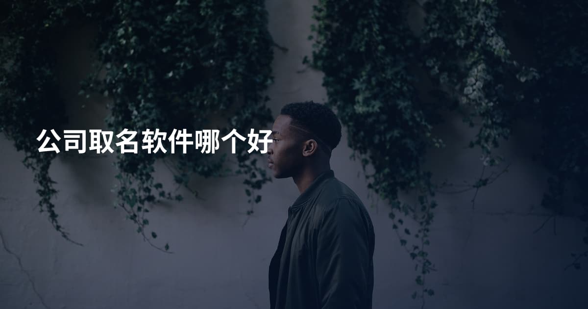 公司取名软件哪个好