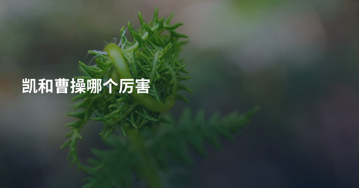 凯和曹操哪个厉害