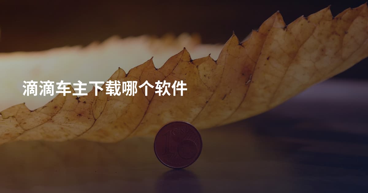 滴滴车主下载哪个软件