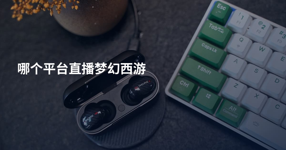 哪个平台直播梦幻西游