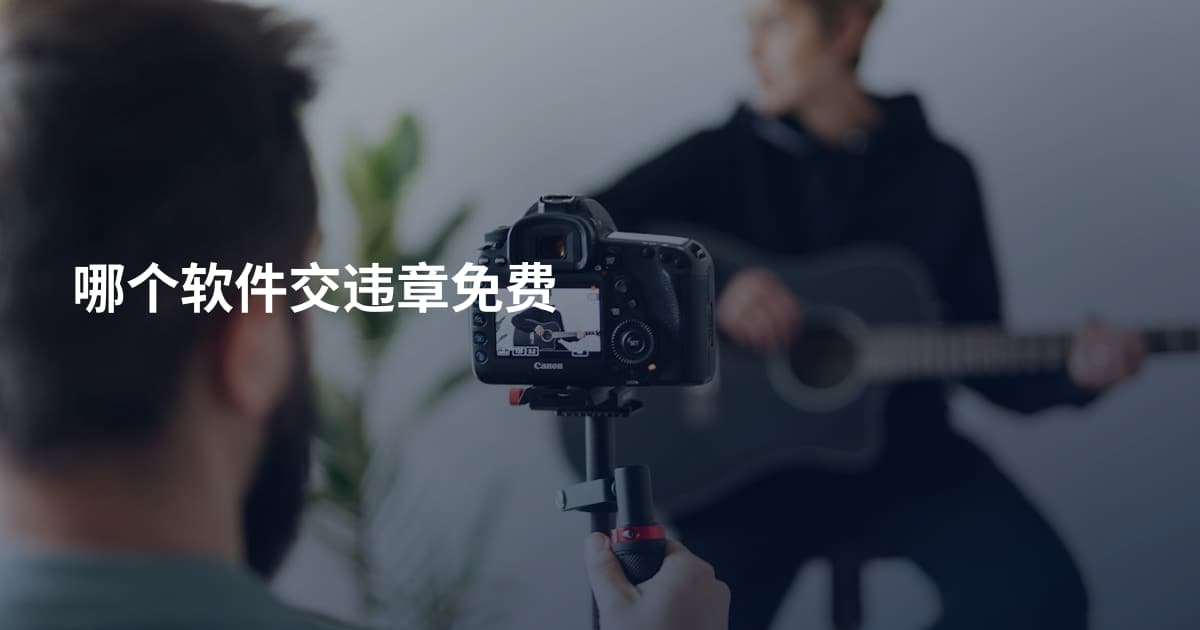 哪个软件交违章免费