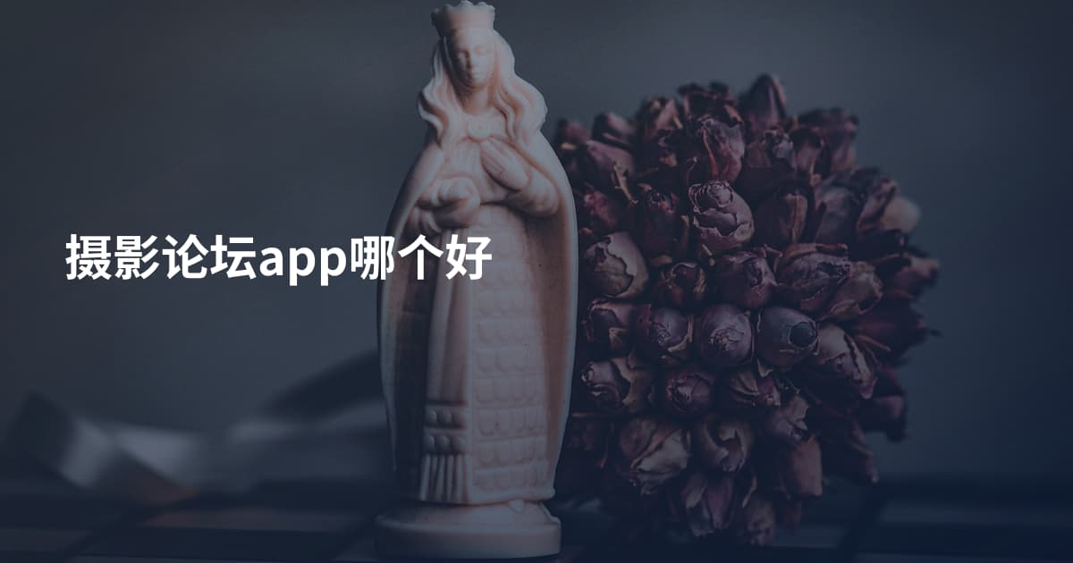 摄影论坛app哪个好