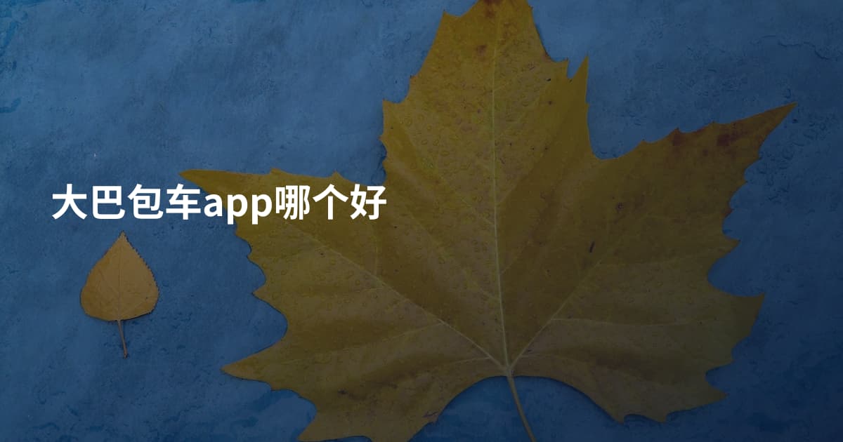 大巴包车app哪个好