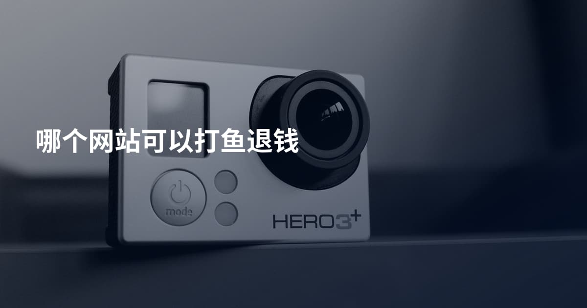 哪个网站可以打鱼退钱