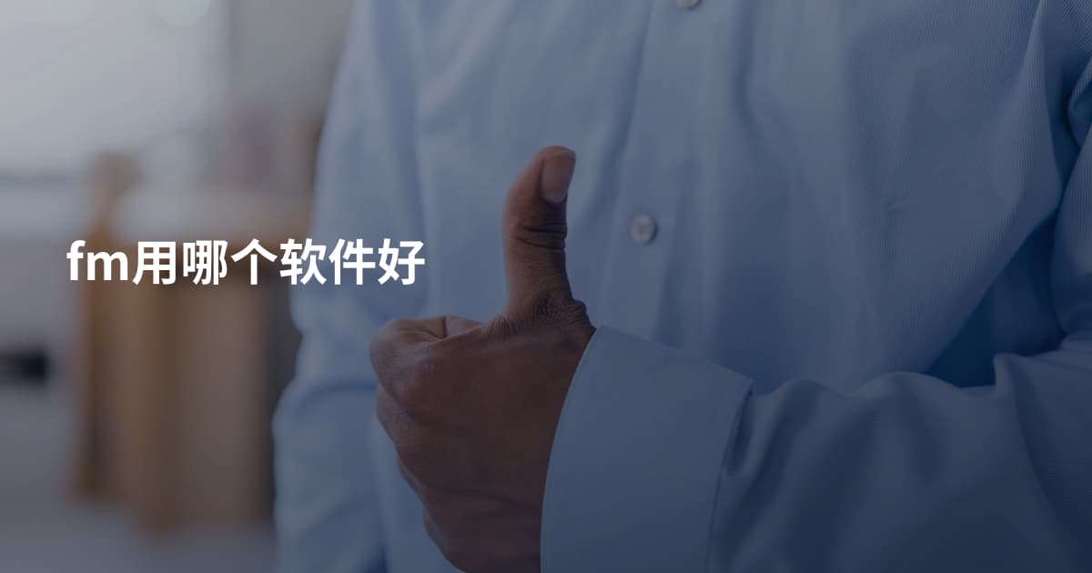 fm用哪个软件好