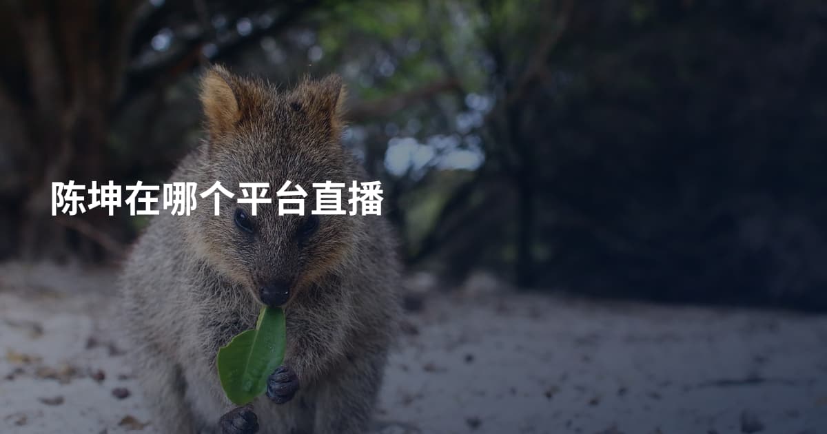 陈坤在哪个平台直播
