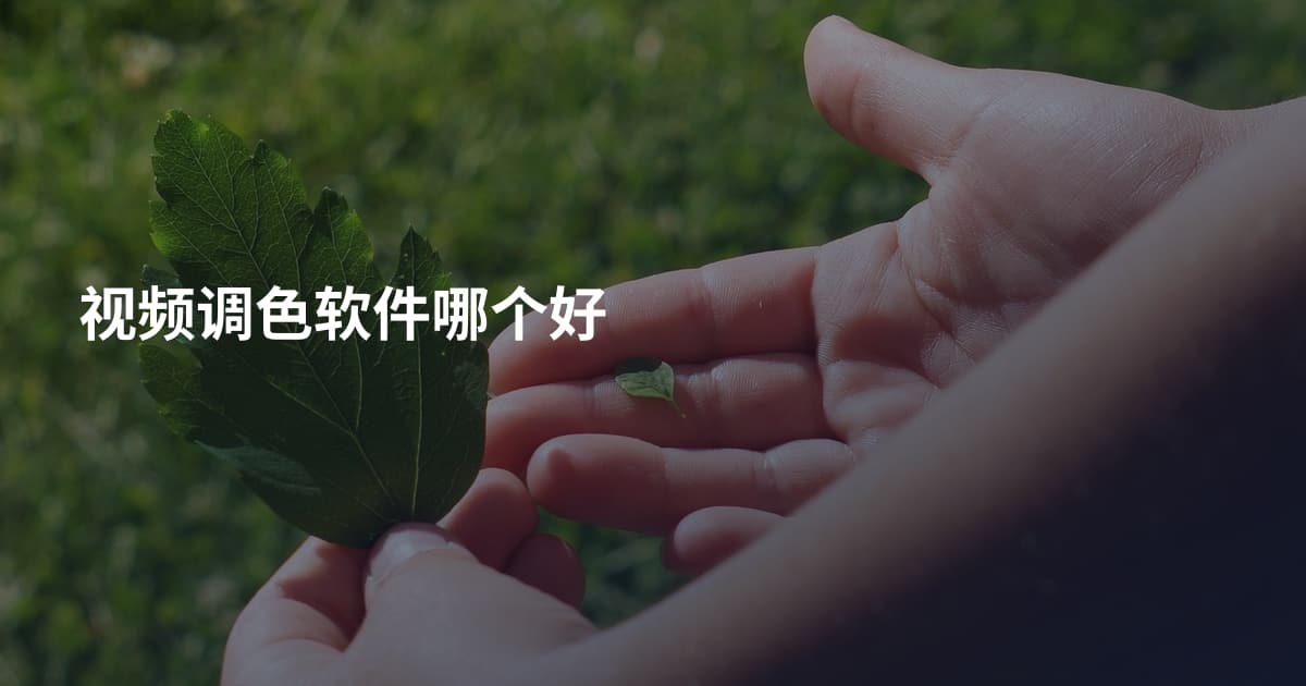 视频调色软件哪个好